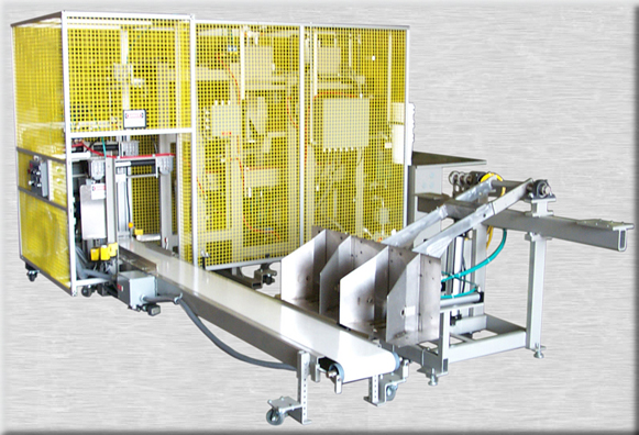 picture of an automated pail process system